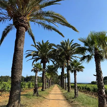 بيت للعطل Gigaro Eden View Mas St Tropez لا كروا فالميه