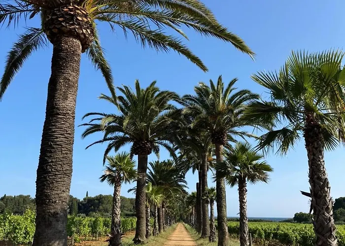 Дом отдыха Gigaro Eden View Mas St Tropez Ла Круа-Вальме